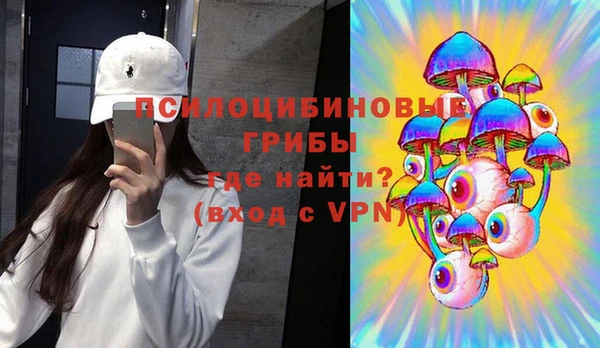 амф Абаза