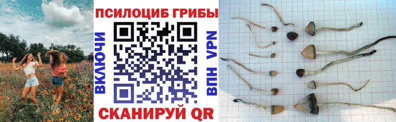 Галлюциногенные грибы Magic Shrooms  где продают   Инза 